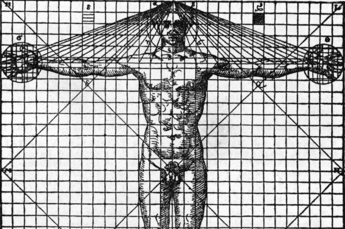 cilvēka cilvēka priekšpuses melnbalta ilustrācija diagrammā ar līnijām, kurās parādīta simetrija un proporcija