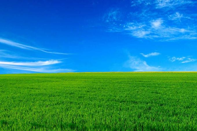Zaļa ganība pret spilgti zilām debesīm
