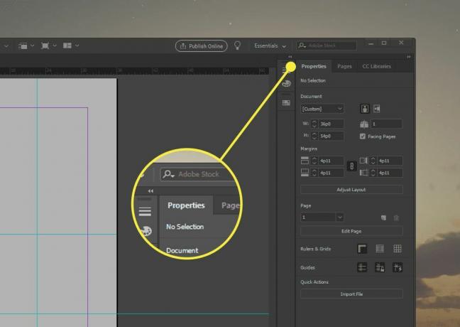 InDesign ekrānuzņēmums ar iezīmētu cilni Rekvizīti