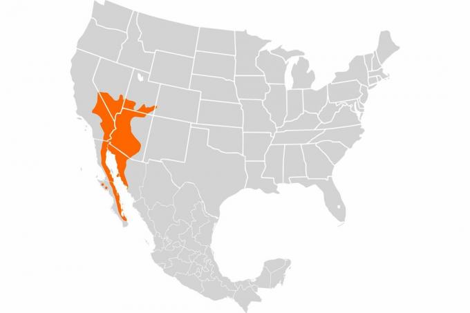 Chuckwalla klāsta karte.