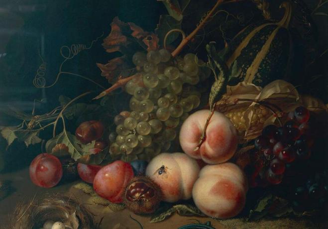 Comp Save to Board Itālija, Florence, Rachel Ruysch, 1711, klusā daba ar augļiem un kukaiņiem, eļļa uz audekla, detaļa