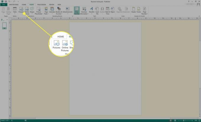 Microsoft Publisher ekrānuzņēmums ar iezīmētām opcijām Attēli un Tiešsaistes attēli