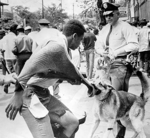 Melnādainajam amerikāņu protestētājam, kuram demonstrācijas pret segregāciju laikā uzbrūk policijas suns, Birmingemā, Alabamā, 1963. gada 4. maijā.