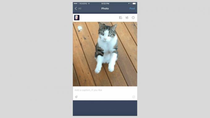 Tumblr lietotnes iOS ekrānuzņēmums.