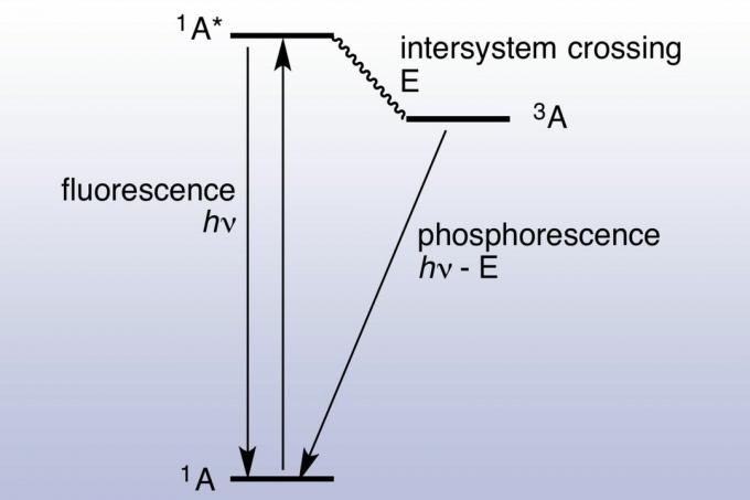 Jablonski diagramma