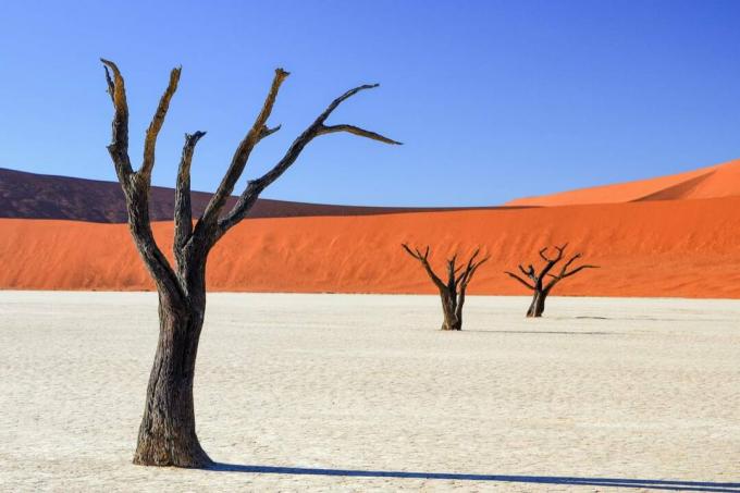 Miris Vlei Namib tuksnesis