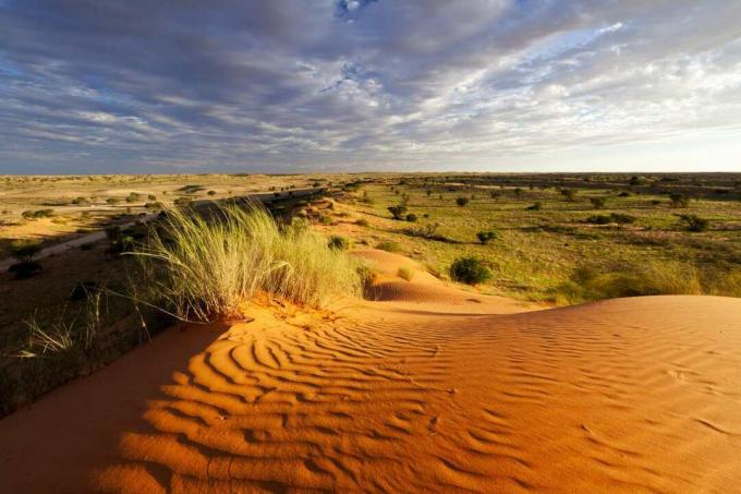 Kalahari tuksnesis