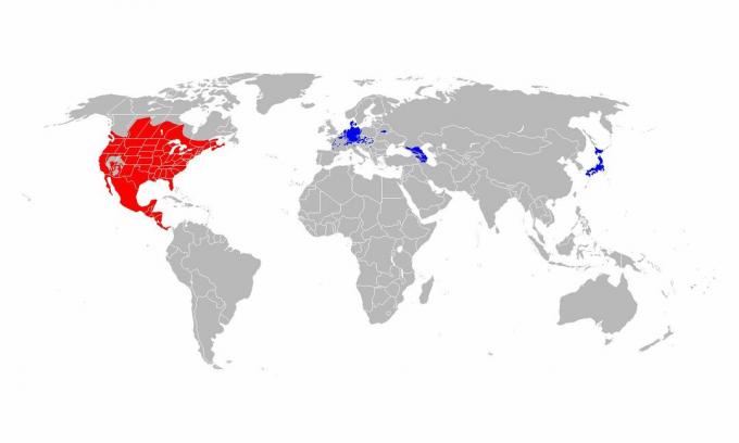 Jenots dabiskais diapazons (sarkans) un ieviestais areāls (zils).