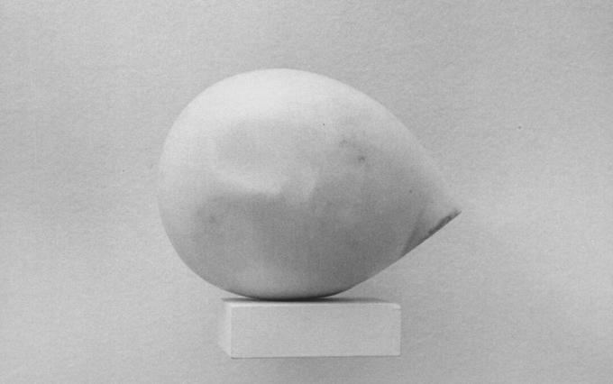 Konstantīns Brancusi "Prometheus" vadītājs