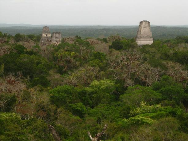 Tikal - nemiernieku bāze