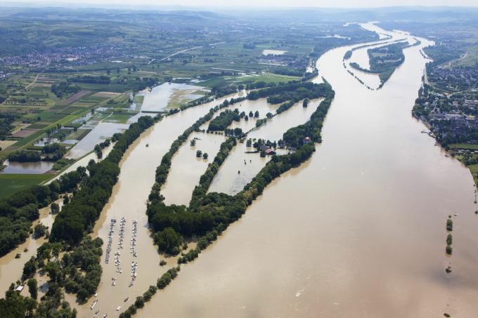 Vācija, Hesene, Eltvilla, Reinas upes Koenigskling Aue upes applūšana, gaisa foto